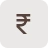 Currency icon